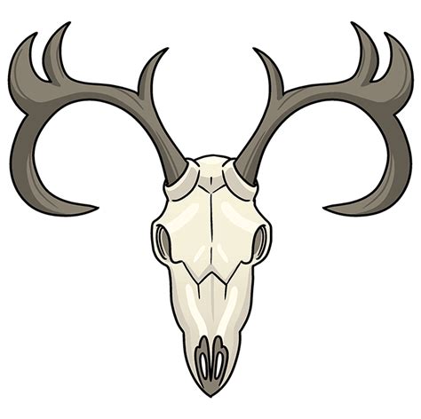 How to Draw a Deer Skull Step 10 Moose Skull, Deer Skull Art, Deer Skulls, Bull Skulls, Bird ...