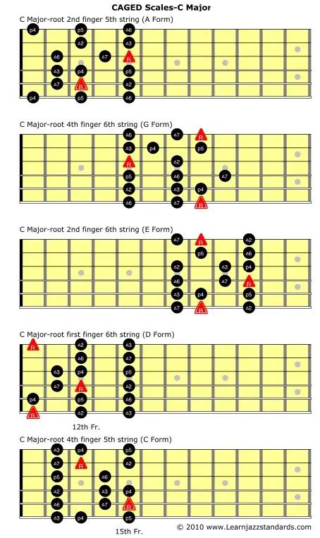 ALL Guitar Scales Explained! Memorize EASILY With Fretboard Diagrams! - Guitar Skills Planet (2022)