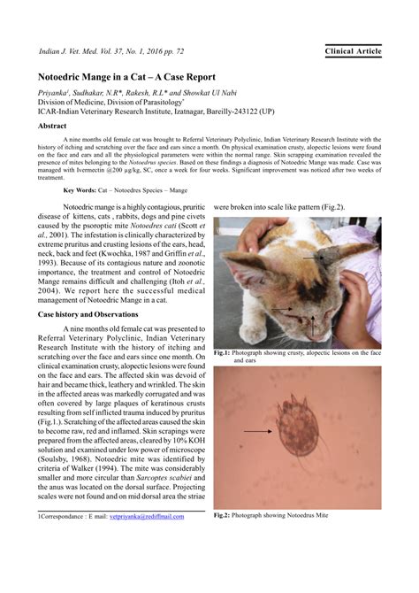 (PDF) Notoedric Mange in a Cat – A Case Report