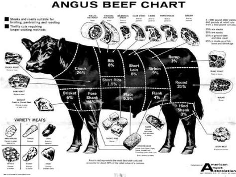 17 Best images about Cattle Aberdeen | A cow, Charts and Beef cuts chart