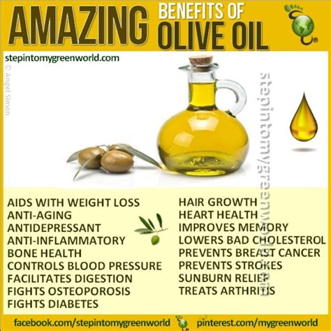 extra virgin olive oil for hair benefits - Astrid Lincoln