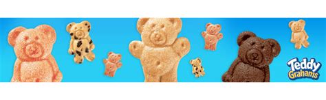 Amazon.com: Teddy Grahams Chocolatey Chip Graham Snacks, 6 - 10 oz Boxes