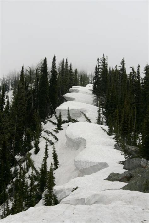 Atlas Snowshoes Snowshoe Tote | Backcountry.com