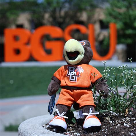 BGSU Freddie Falcon Mini Plush – Falcon Outfitters BGSU