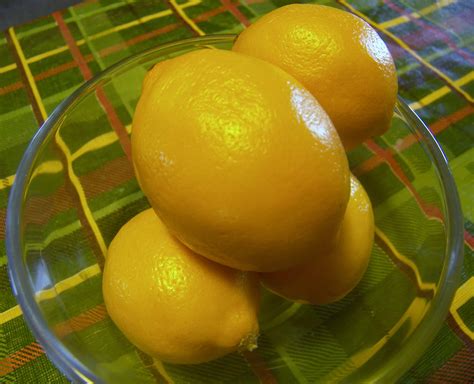 The Meyer Lemon