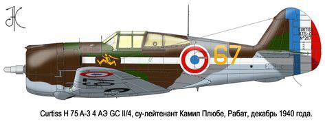 Curtiss P-36 Hawk/Hawk 75 | France (Vichy) | 4 Escadrille, GC II/4, Armee de l'Air de l ...