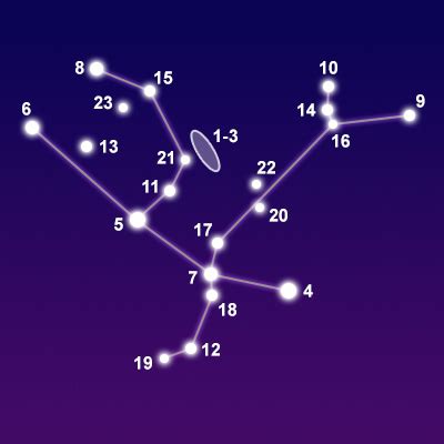 Constellation Andromeda - The Constellations on Sea and Sky