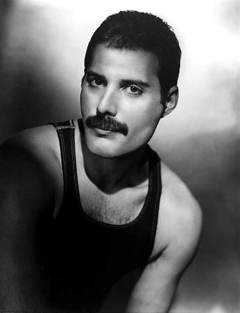 freddie-mercury-portrait | Photo visage, Légendes du rock, Célébrités