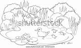 Coloring Duck Pond Stock Illustration 333212225  Shutterstock sketch template