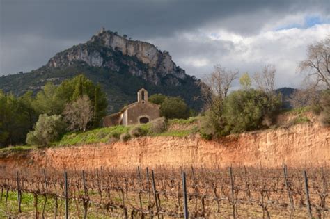 Penedès: Catalonia’s Premier Wine and Cava Region | White Postcards