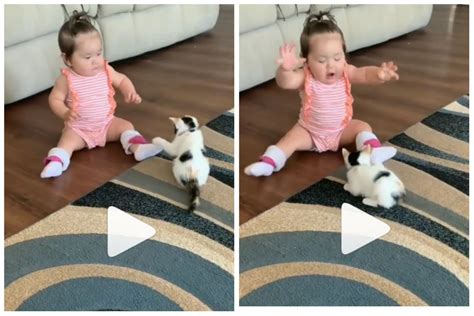 Viral Video: Adorable Baby Playing With A Little Cat is The Cutest Thing on The Internet Today ...