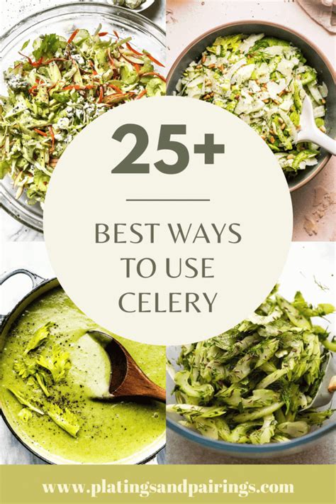 25+ BEST Celery Recipes (How to Use Celery)