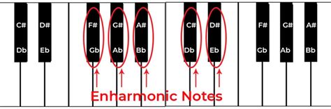 Enharmonic Notes Quick Guide - Phamox Music