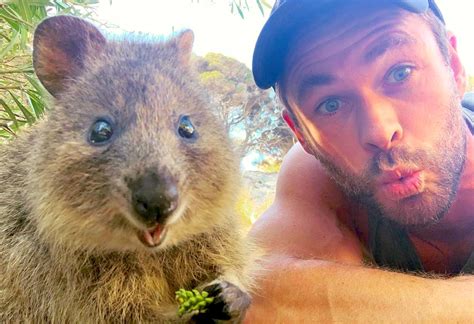 Chris Hemsworth Snapped An Adorable Quokka Selfie On Rottnest Island