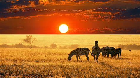 Africa 4K Wallpapers - Top Free Africa 4K Backgrounds - WallpaperAccess