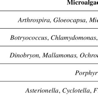 Classification of microalgae and related species (Packer, 2009) | Download Scientific Diagram