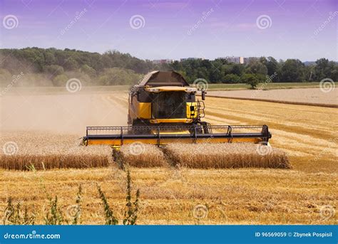 Combine Harvester Machine Harvesting Ripe Wheat Crops Stock Image ...