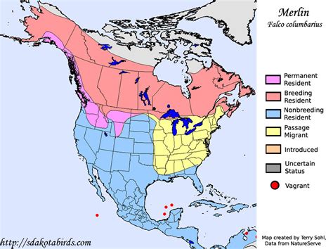 Merlin - Species Range Map