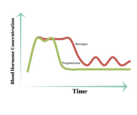 HRT for Menopause Treatment - Scientific Animations