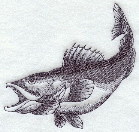 Walleye Sketch design (H4388) from www.Emblibrary.com