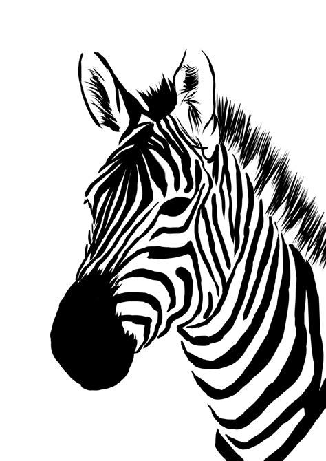 Zebra Line Drawing - ClipArt Best