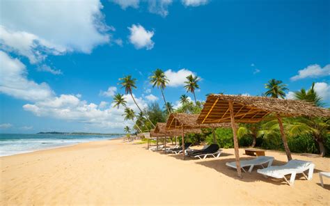 Sri Lanka Hikkaduwa Beach Golden Sandy Beaches Palm Trees Blue Waters Indian Ocean And The Bay ...