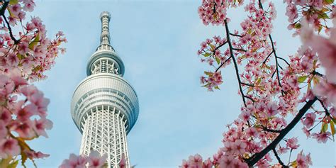 The Top 11 Tokyo Attractions You Must Visit 2024