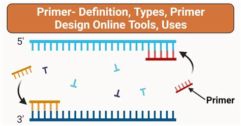 Cuidar definitivamente Intrusão pcr primer design guidelines esvaziar ...