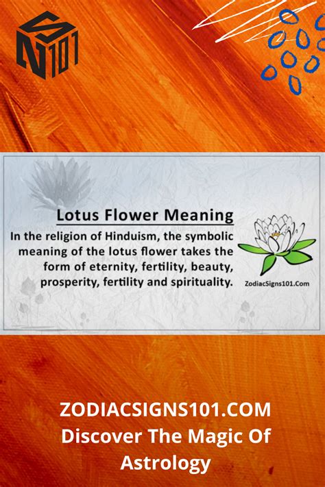 Lotus Flower Symbolism, Lotus Flower Meaning, Flower Meanings, Setup ...