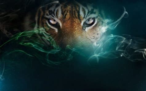 Angry Tiger Eyes Wallpapers - Wallpaper Cave