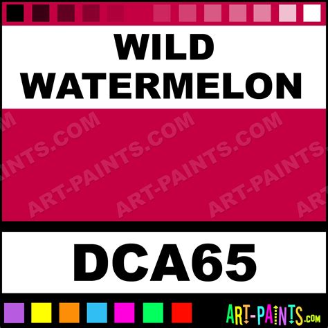 Wild Watermelon Crafters Acrylic Paints - DCA65 - Wild Watermelon Paint ...