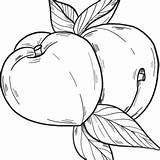 Fruits Coloring Pages Printable For Free Download sketch template