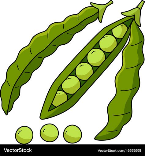 Green bean fruit cartoon colored clipart Vector Image