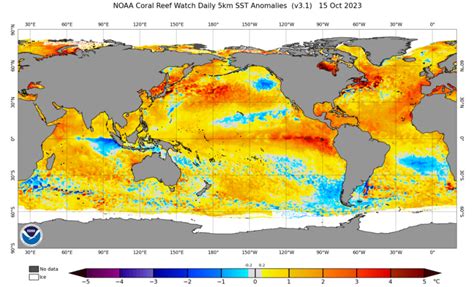 What will El Niño mean for Pacific Northwest weather and drought conditions? - Northwest Wine Report