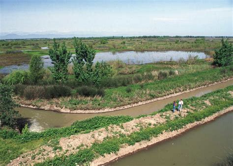 $15 Million Awarded for Wetland Conservation Projects - National Sustainable Agriculture ...