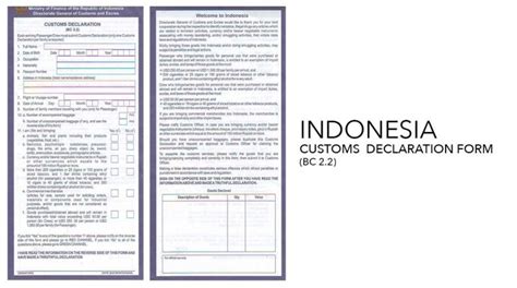 KENAPA HARUS MENGISI CUSTOM DECLARATION FORM? - Kaiju Bop