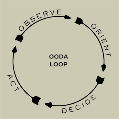 How To Make Higher Selections and Overcome Something With The OODA Loop ...