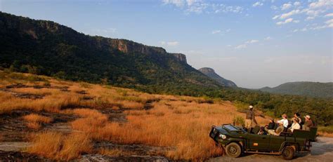 Bandhavgarh National Park | India | Luxe and Intrepid Asia | Remote Lands