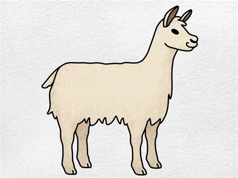 Llama Drawing - HelloArtsy