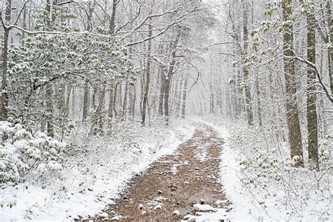 Appalachian Trail Appalachian Mountains Winter Mountain Stock Photos ...