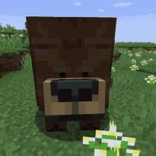 Funny Minecraft Gifs