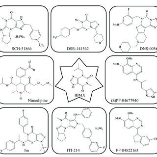 Current PDE1 inhibitors. | Download Scientific Diagram