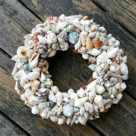 Wreath Shell Wreath Sea Shell Wreath