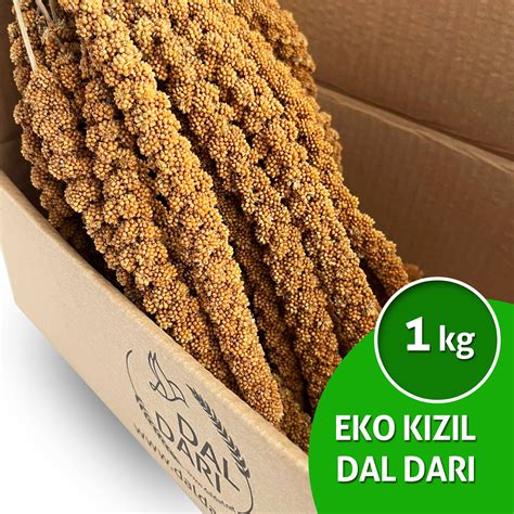 EKO Kızıl Dal Darı 1 kg » Dal Darı