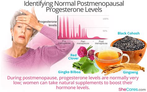 Identifying Normal Postmenopausal Progesterone Levels | SheCares