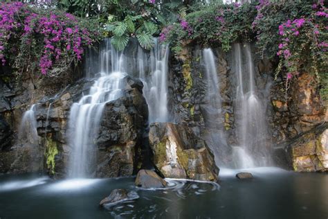 Hilton Grand Wailea waterfall | A brief trip to escape winte… | Flickr