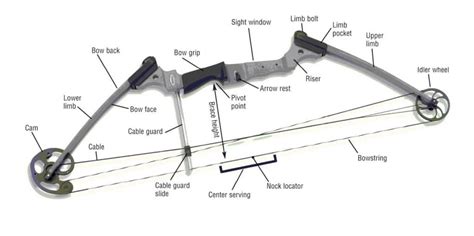 Parts of a Compound Bow: What You Must Know Before Buying One