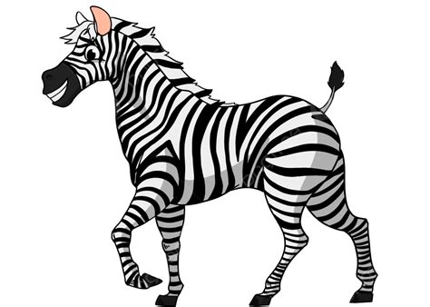 Zebra Cartoon Clip Art In Bianco E Nero, Zebra, Cartone Animato, Zebra Del Fumetto File PNG e ...