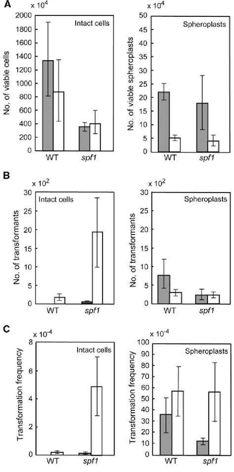 Transformation efficiency and frequency of intact cell and spheroplast.... | Download Scientific ...