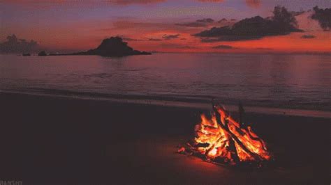 Camp Fire GIF - Camp Fire Campfire - Discover & Share GIFs | Nature gif ...